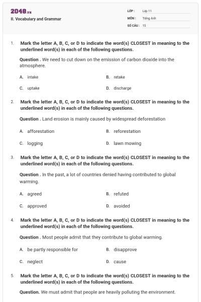 II. Vocabulary and Grammar