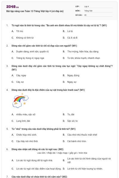 Bài tập nâng cao Tuần 13 Tiếng Việt lớp 4 (có đáp án)