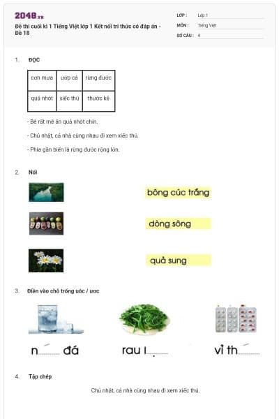 Đề thi cuối kì 1 Tiếng Việt lớp 1 Kết nối tri thức có đáp án - Đề 18
