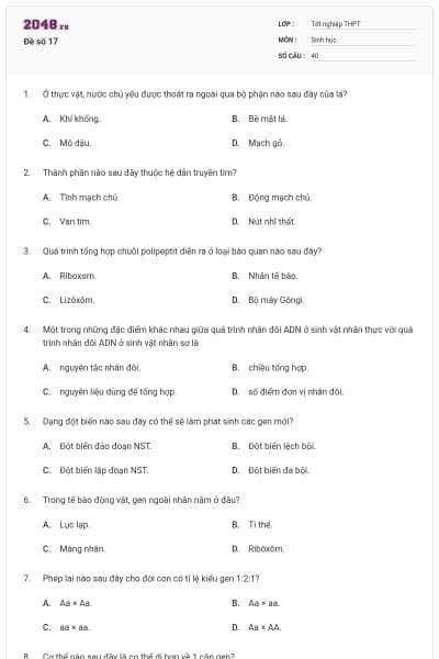 Đề số 17