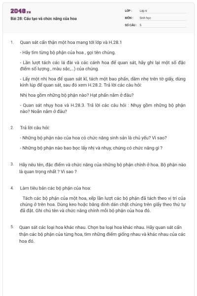 Bài 28: Cấu tạo và chức năng của hoa
