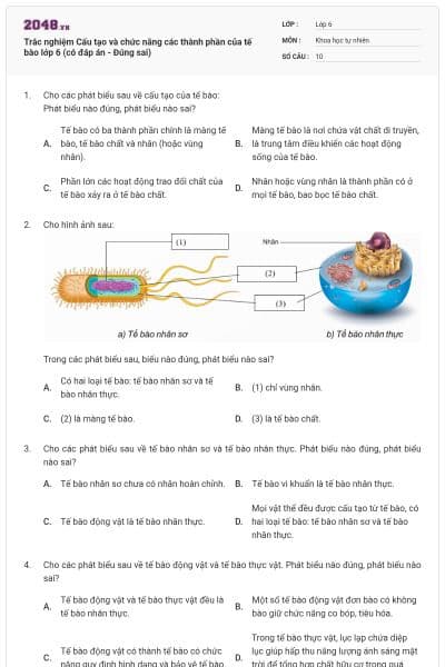 Trắc nghiệm Cấu tạo và chức năng các thành phần của tế bào lớp 6 (có đáp án - Đúng sai)