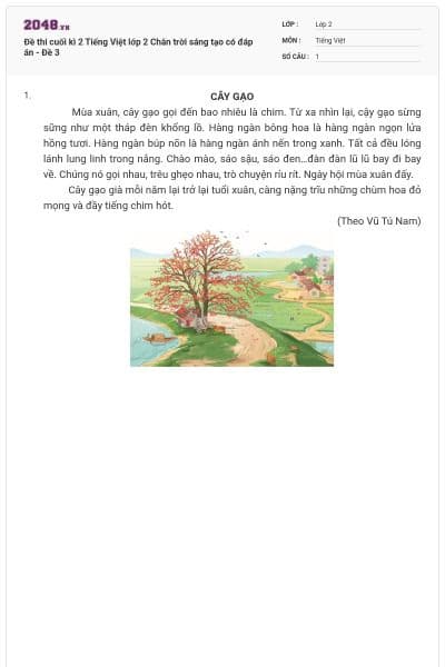Đề thi cuối kì 2 Tiếng Việt lớp 2 Chân trời sáng tạo có đáp án - Đề 3