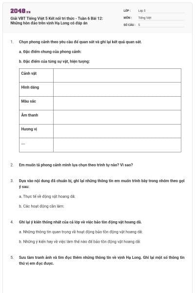Giải VBT Tiếng Việt 5 Kết nối tri thức - Tuần 6 Bài 12: Những hòn đảo trên vịnh Hạ Long có đáp án