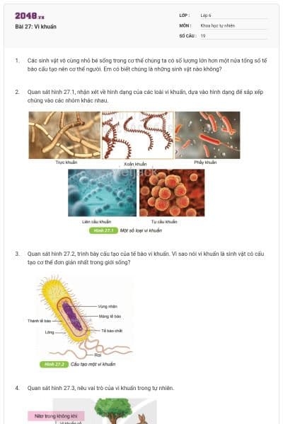 Bài 27: Vi khuẩn
