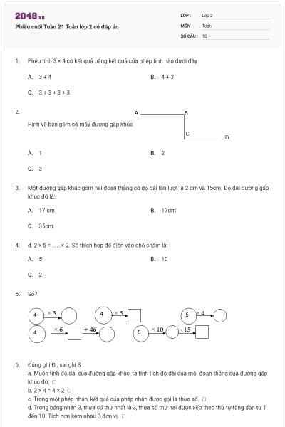 Phiếu cuối Tuần 21 Toán lớp 2 có đáp án