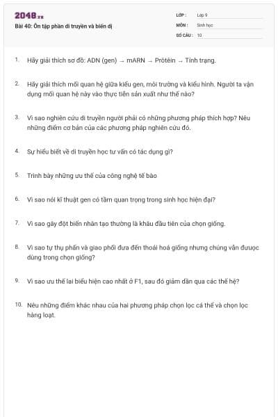 Bài 40: Ôn tập phần di truyền và biến dị