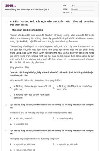 Đề thi Tiếng Việt 2 Giữa học kì 2 có đáp án (Đề 3)