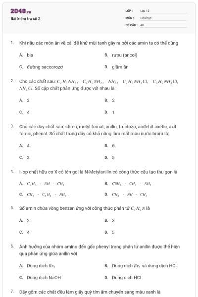 Bài kiểm tra số 2