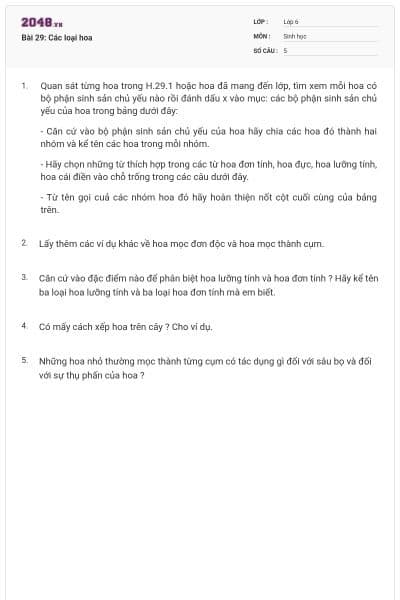 Bài 29: Các loại hoa