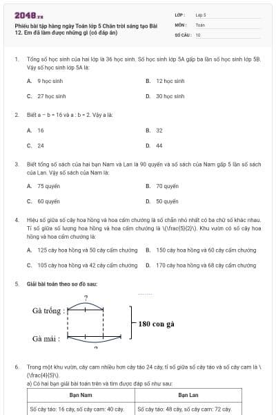 Phiếu bài tập hàng ngày Toán lớp 5 Chân trời sáng tạo Bài 12. Em đã làm được những gì (có đáp án)