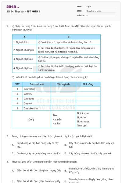Bài 34: Thực vật - SBT KHTN 6