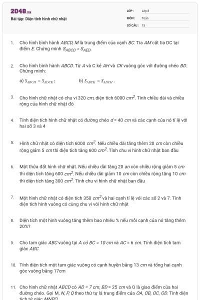Bài tập: Diện tích hình chữ nhật