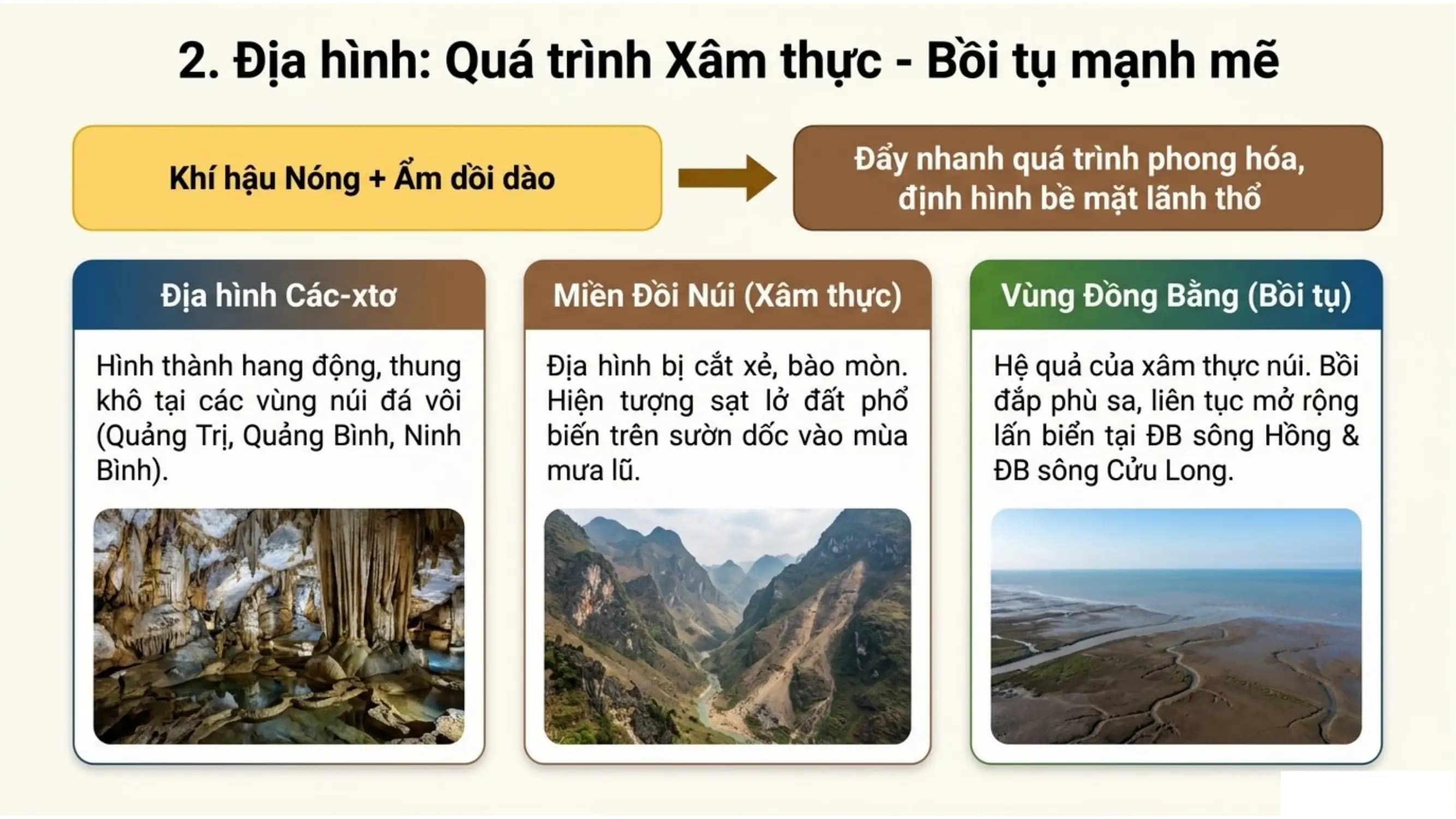 Nội dung nhập
