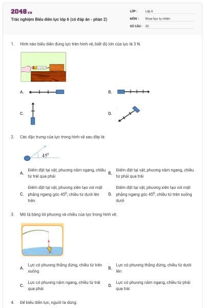 Trắc nghiệm Biểu diễn lực lớp 6 (có đáp án - phần 2)
