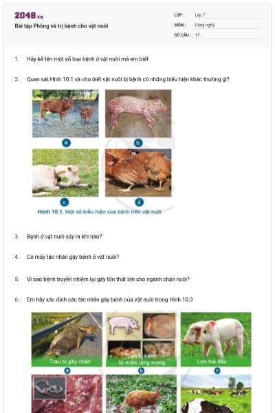 Bài tập Phòng và trị bệnh cho vật nuôi