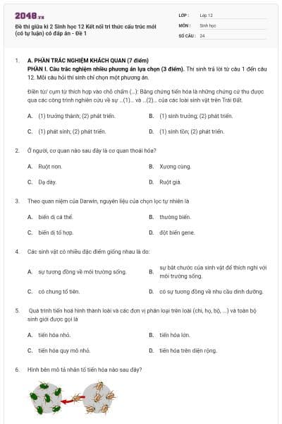 Đề thi giữa kì 2 Sinh học 12 Kết nối tri thức cấu trúc mới (có tự luận) có đáp án - Đề 1
