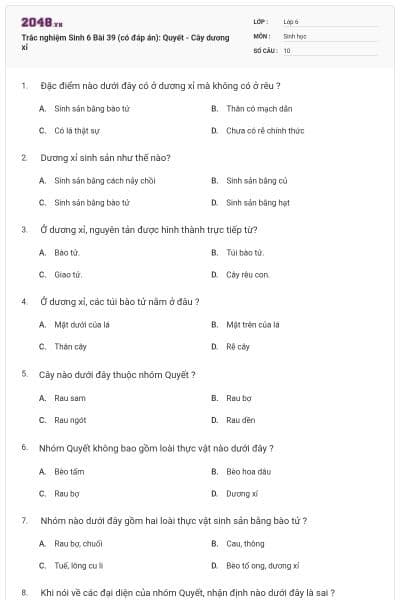Trắc nghiệm Sinh 6 Bài 39 (có đáp án): Quyết - Cây dương xỉ