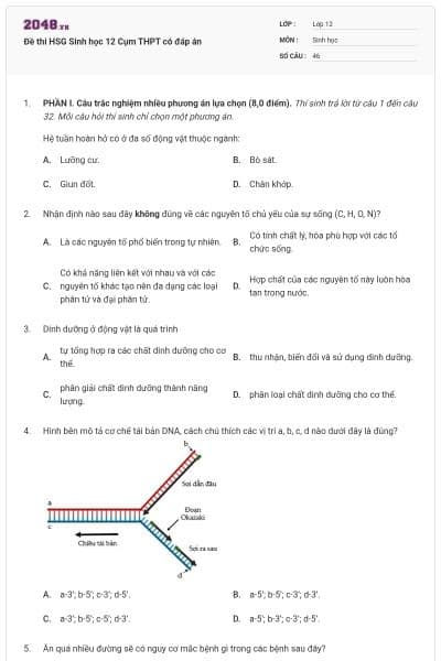 Đề thi HSG Sinh học 12 Cụm THPT có đáp án
