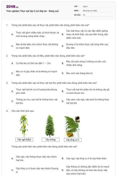 Trắc nghiệm Thực vật lớp 6 (có đáp án - Đúng sai)