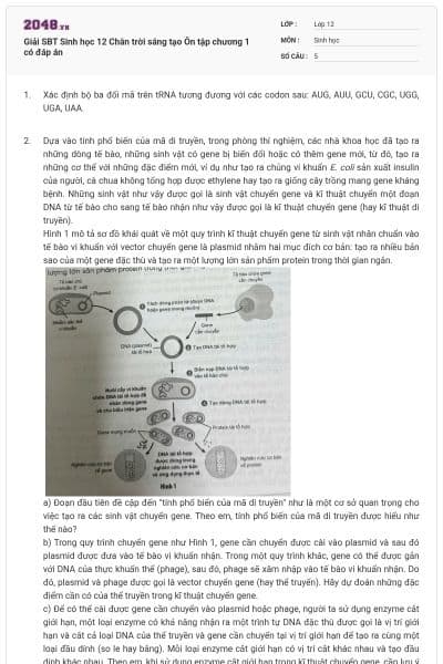 Giải SBT Sinh học 12 Chân trời sáng tạo Ôn tập chương 1 có đáp án