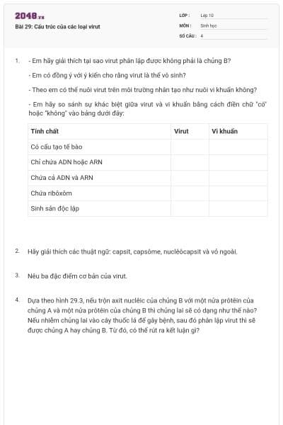 Bài 29: Cấu trúc của các loại virut