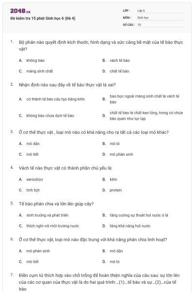 Đề kiểm tra 15 phút Sinh học 6 (Đề 4)
