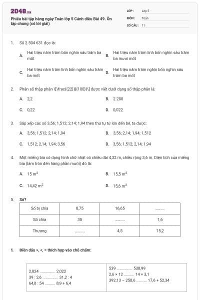 Phiếu bài tập hàng ngày Toán lớp 5 Cánh diều Bài 49. Ôn tập chung (có lời giải)