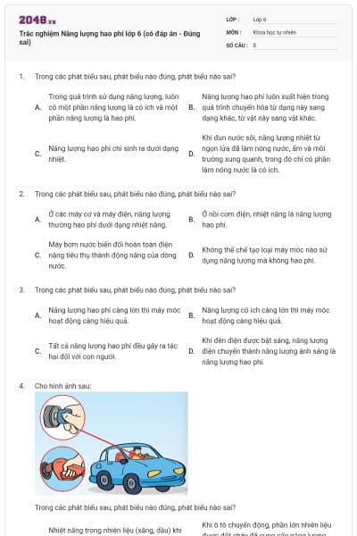 Trắc nghiệm Năng lượng hao phí lớp 6 (có đáp án - Đúng sai)