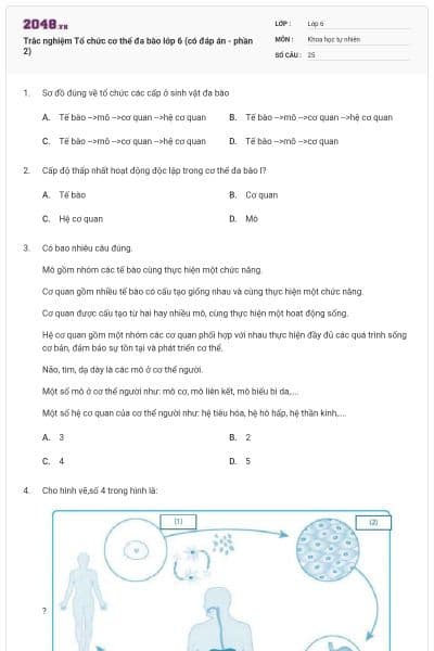 Trắc nghiệm Tổ chức cơ thể đa bào lớp 6 (có đáp án - phần 2)