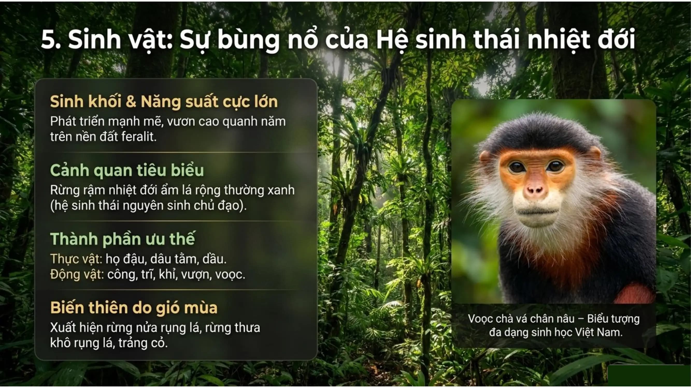 Nội dung nhập