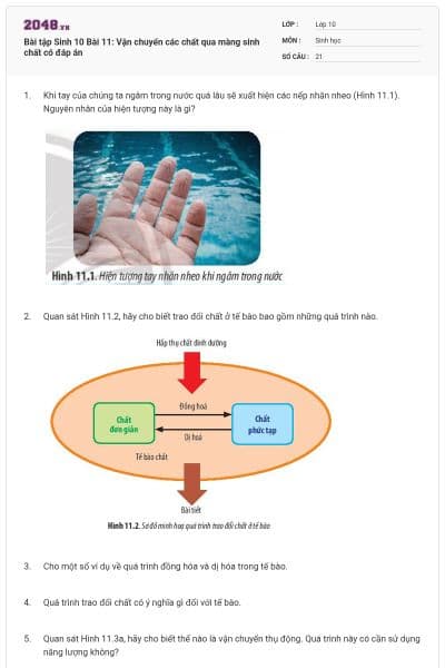 Bài tập Sinh 10 Bài 11: Vận chuyển các chất qua màng sinh chất có đáp án