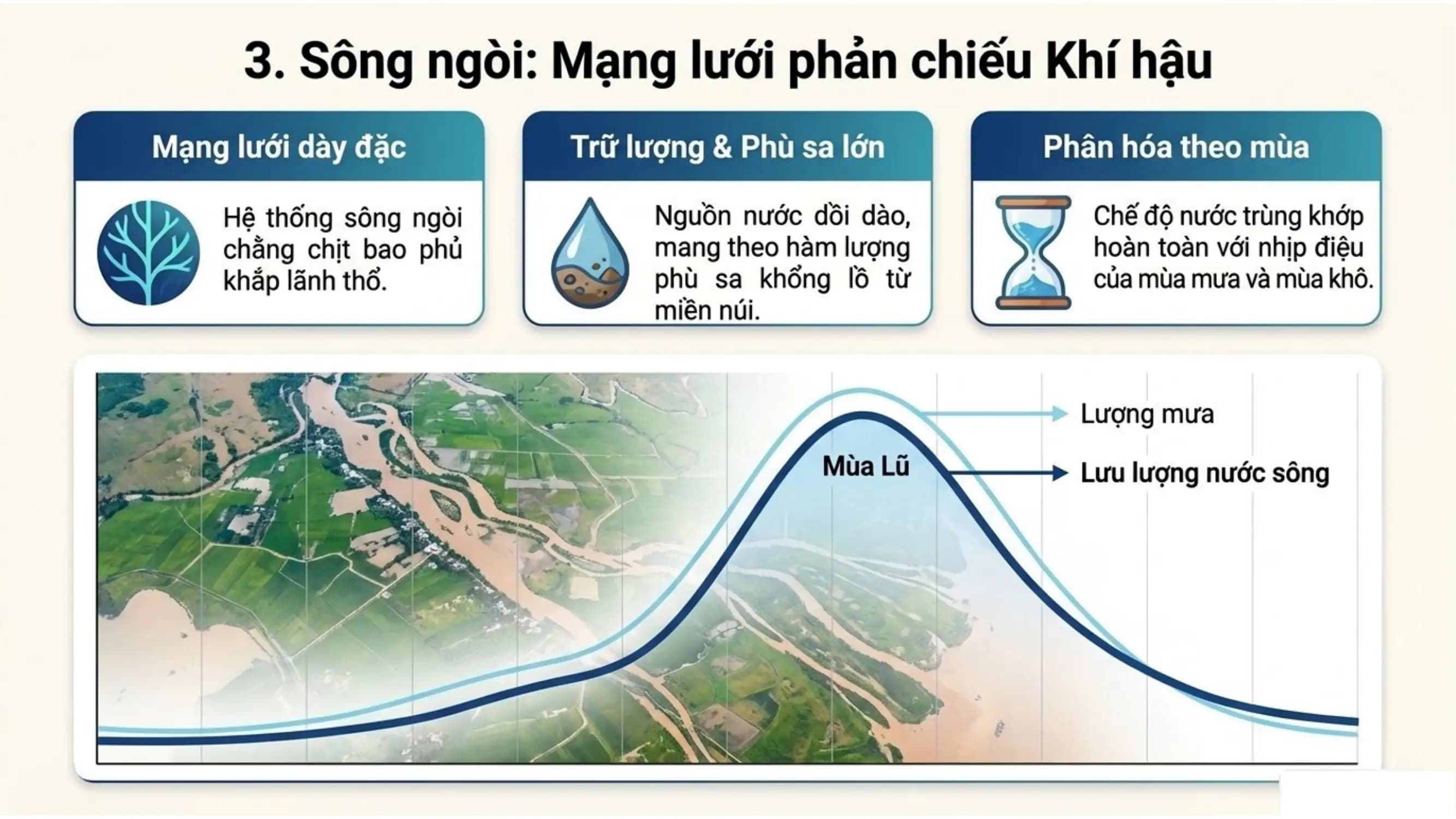 Nội dung nhập