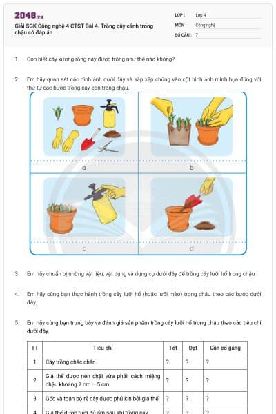 Giải SGK Công nghệ 4 CTST Bài 4. Trồng cây cảnh trong chậu có đáp án