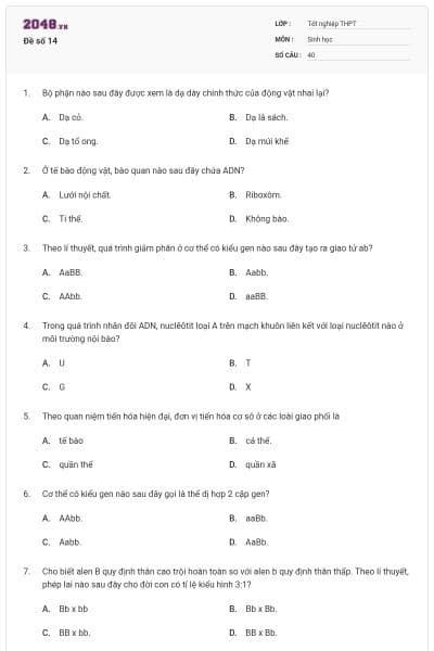 Đề số 14