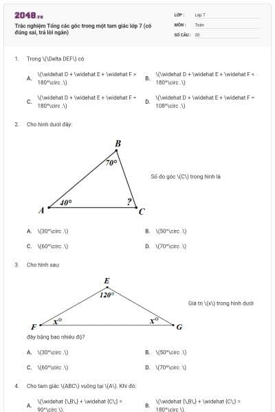 Trắc nghiệm Tổng các góc trong một tam giác lớp 7 (có đúng sai, trả lời ngắn)