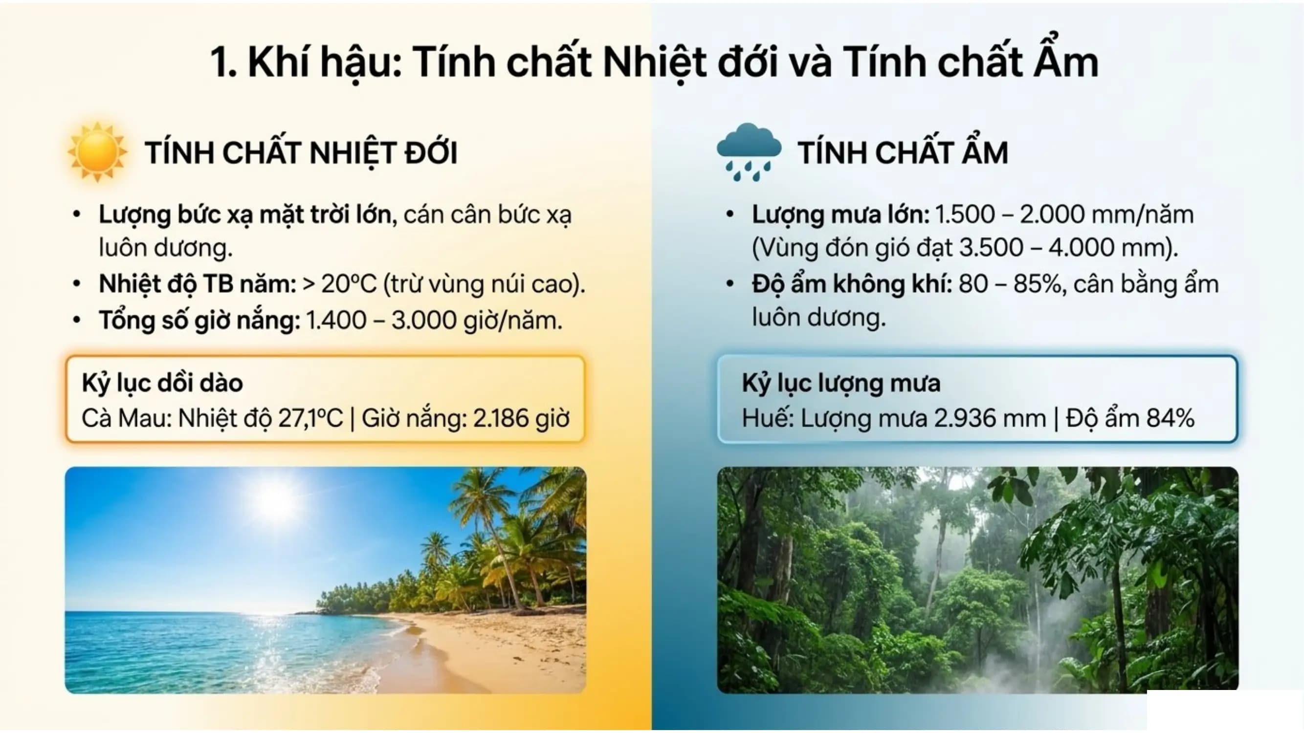 Nội dung nhập