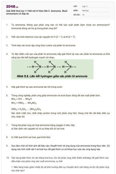 Giải SGK Hoá học 11 Kết nối tri thức Bài 5. Ammonia. Muối ammonium có đáp án