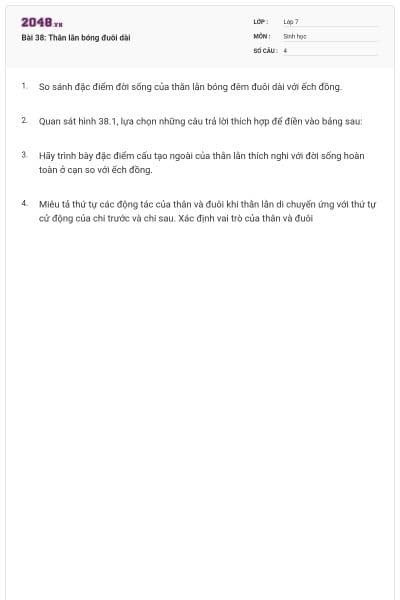 Bài 38: Thằn lằn bóng đuôi dài