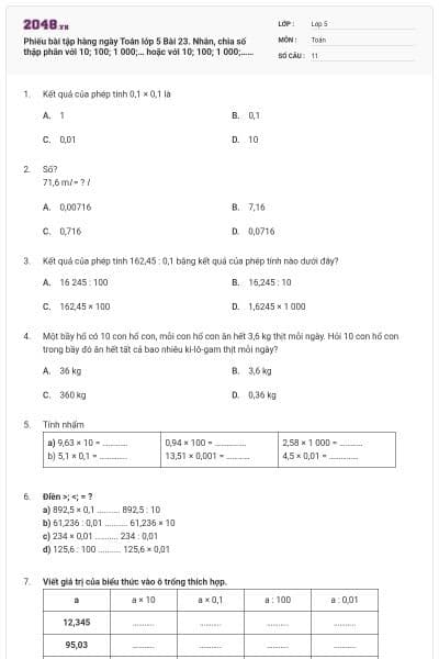 Phiếu bài tập hàng ngày Toán lớp 5 Bài 23. Nhân, chia số thập phân với 10; 100; 1 000;… hoặc với 10; 100; 1 000;…. (có đáp án)
