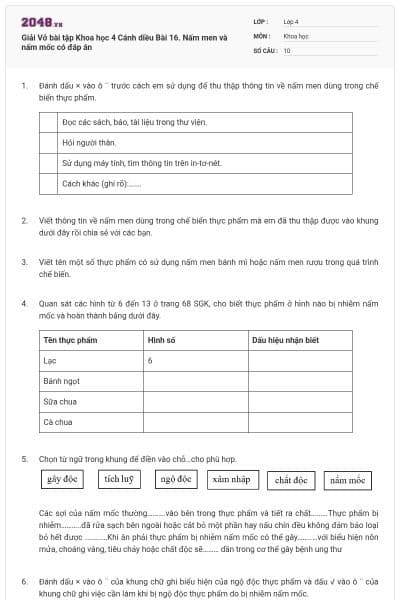 Giải Vở bài tập Khoa học 4 Cánh diều Bài 16. Nấm men và nấm mốc có đáp án