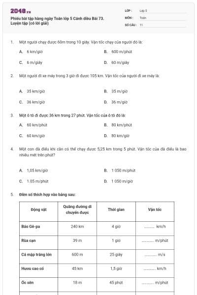 Phiếu bài tập hàng ngày Toán lớp 5 Cánh diều Bài 73. Luyện tập (có lời giải)