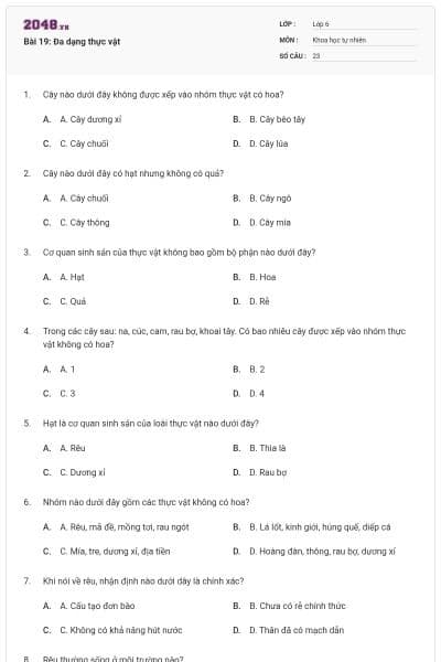 Bài 19: Đa dạng thực vật