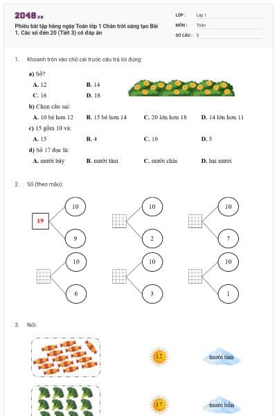 Phiếu bài tập hàng ngày Toán lớp 1 Chân trời sáng tạo Bài 1. Các số đến 20 (Tiết 3) có đáp án