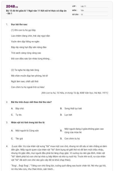 Bộ 15 đề thi giữa kì 1 Ngữ văn 11 Kết nối tri thức có đáp án - Đề 1