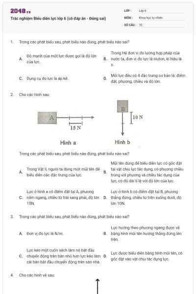 Trắc nghiệm Biểu diễn lực lớp 6 (có đáp án - Đúng sai)