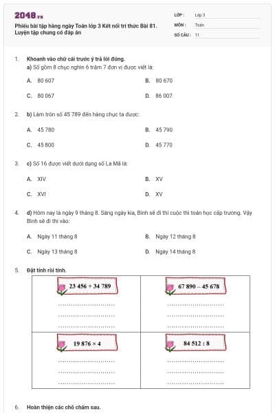 Phiếu bài tập hàng ngày Toán lớp 3 Kết nối tri thức Bài 81. Luyện tập chung có đáp án