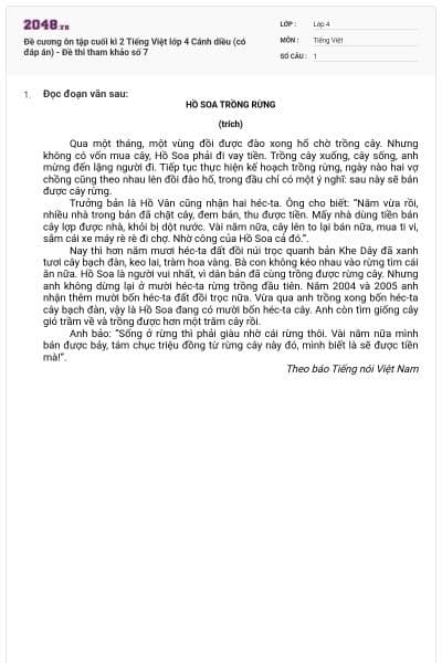 Đề cương ôn tập cuối kì 2 Tiếng Việt lớp 4 Cánh diều (có đáp án) - Đề thi tham khảo số 7