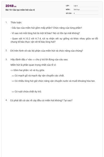 Bài 10: Cấu tạo miền hút của rễ