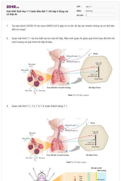 Giải SGK Sinh Học 11 Cánh diều Bài 7: Hô hấp ở động vật có đáp án